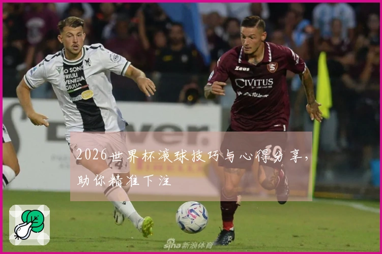 2026世界杯滚球技巧与心得分享，助你精准下注