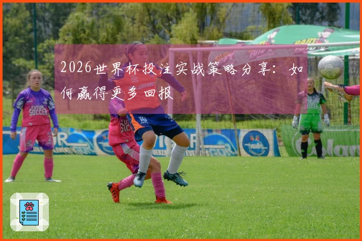 2026世界杯投注实战策略分享：如何赢得更多回报