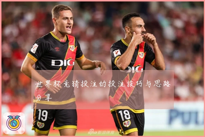 世界杯竞猜投注的投注技巧与思路分享