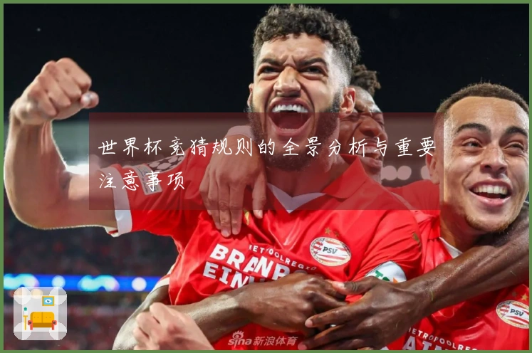 世界杯竞猜规则的全景分析与重要注意事项
