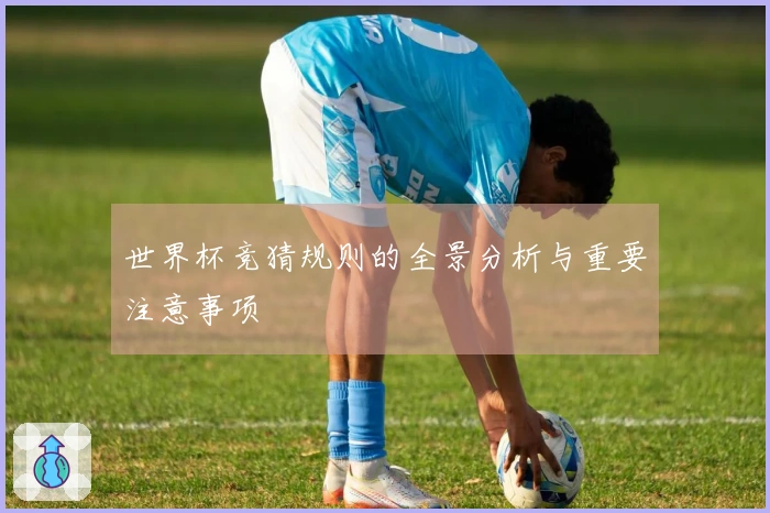 世界杯竞猜规则的全景分析与重要注意事项