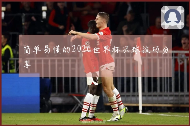 简单易懂的2026世界杯买球技巧分享